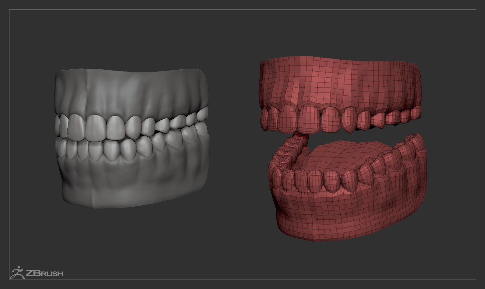 Average Caucasian Female Head Basemesh 3D model_10