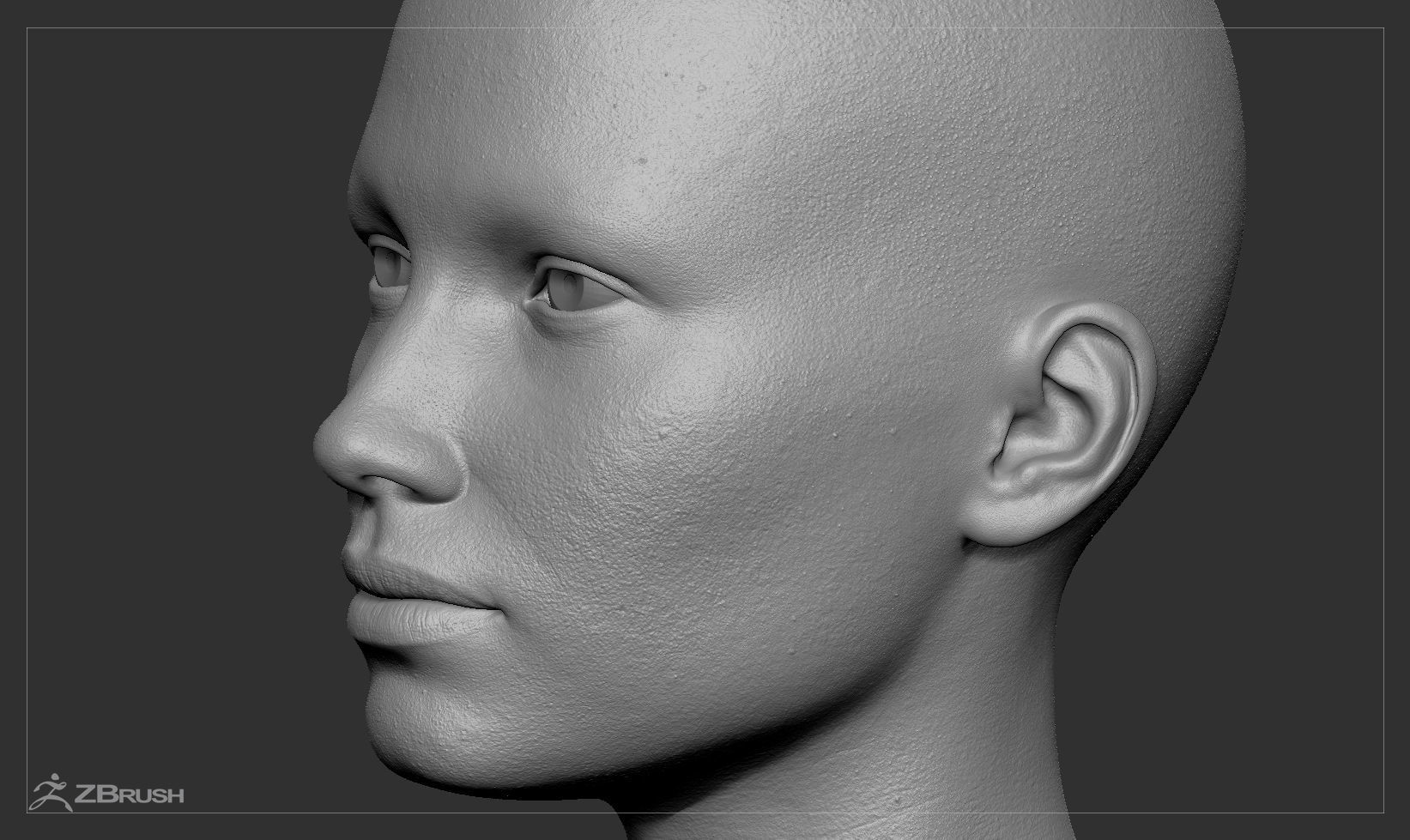 Average Caucasian Female Head Basemesh 3D model_6