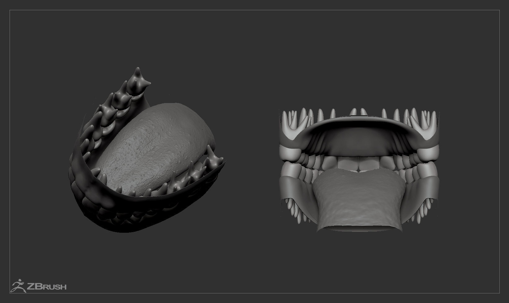 Average Caucasian Female Head Basemesh 3D model_11