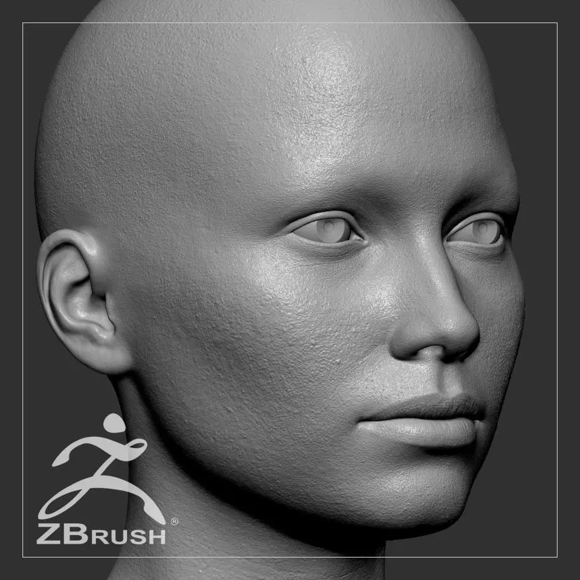 Average Caucasian Female Head Basemesh 3D model_0