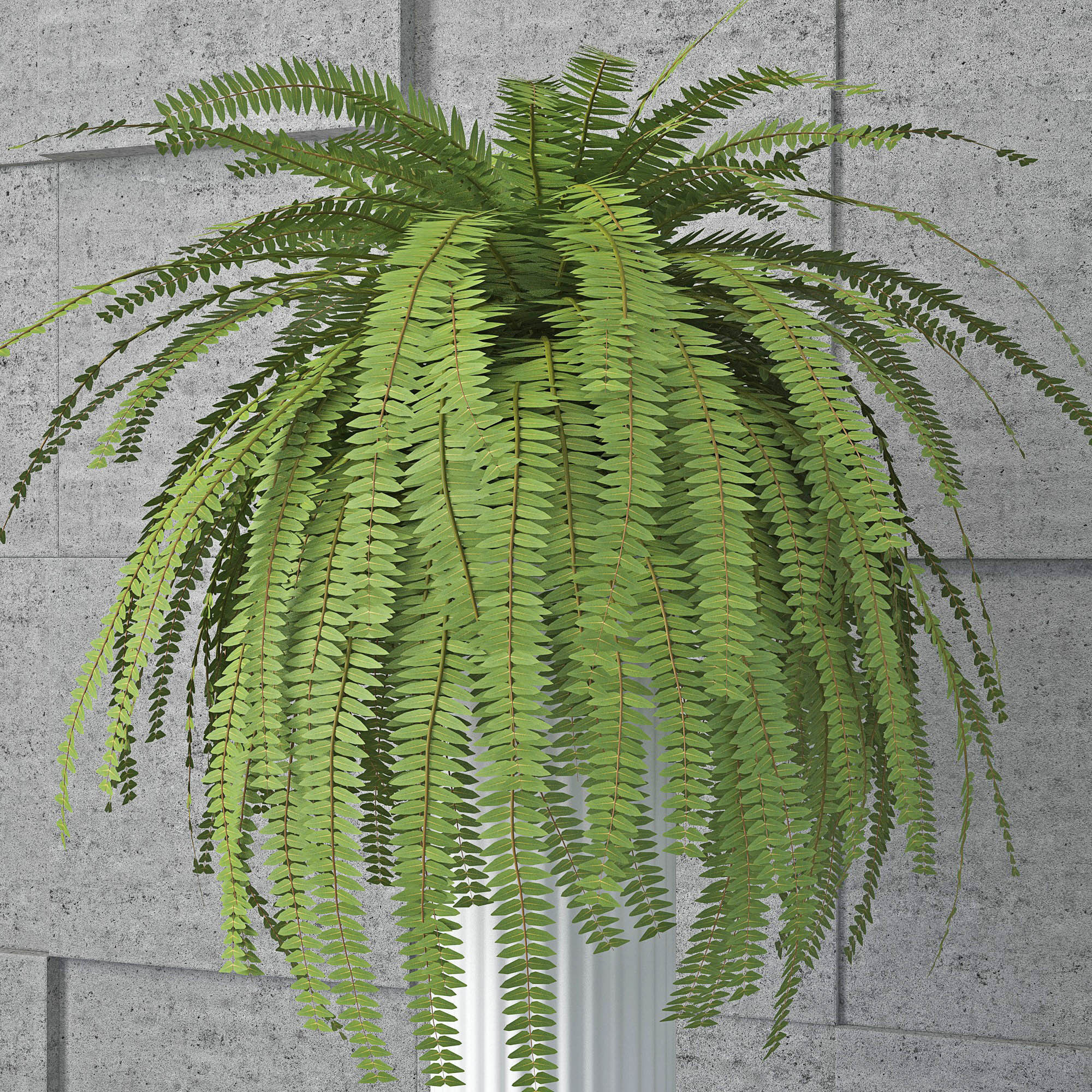 Houseplant 6 column with plant in it 3D model_3