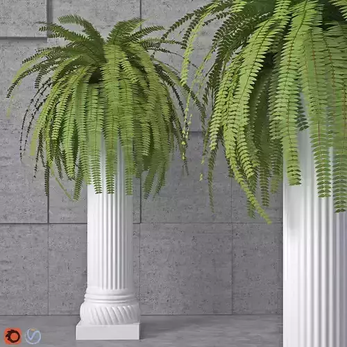 Houseplant 6 column with plant in it 3D model