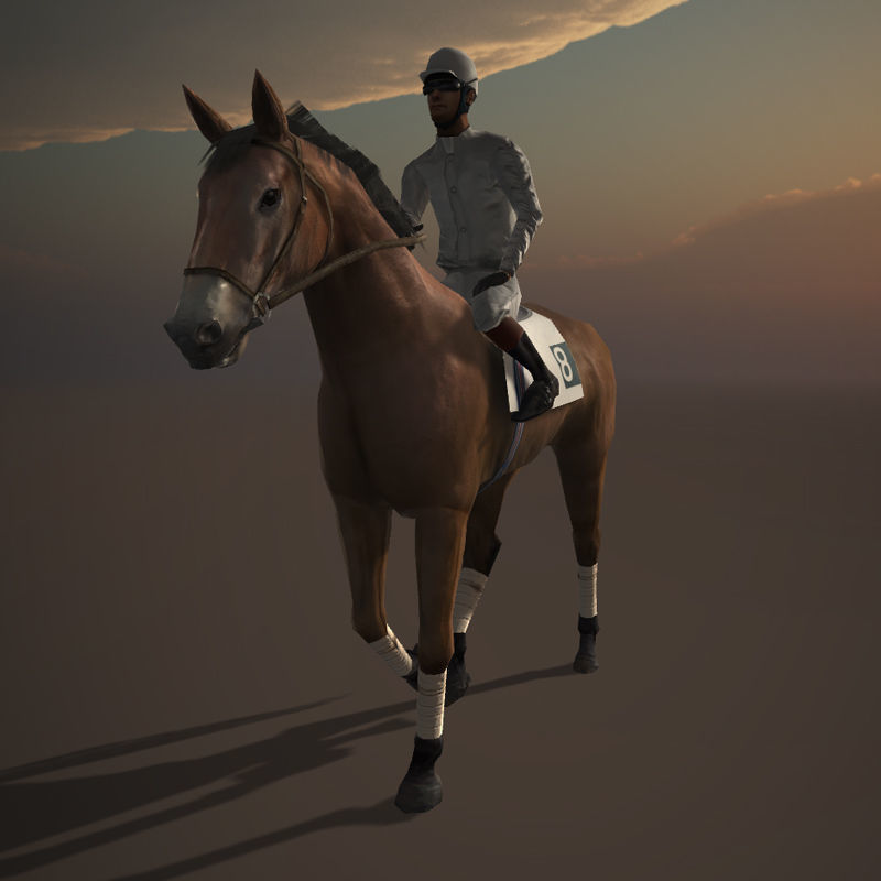 Race Horse and Jockey with LOD Low-poly 3D model_11