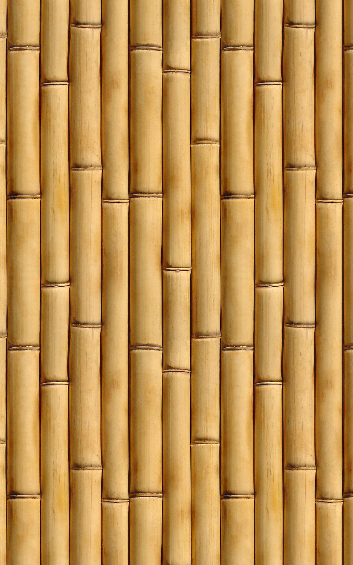 traditional arabic desert safari camp  3D model_83