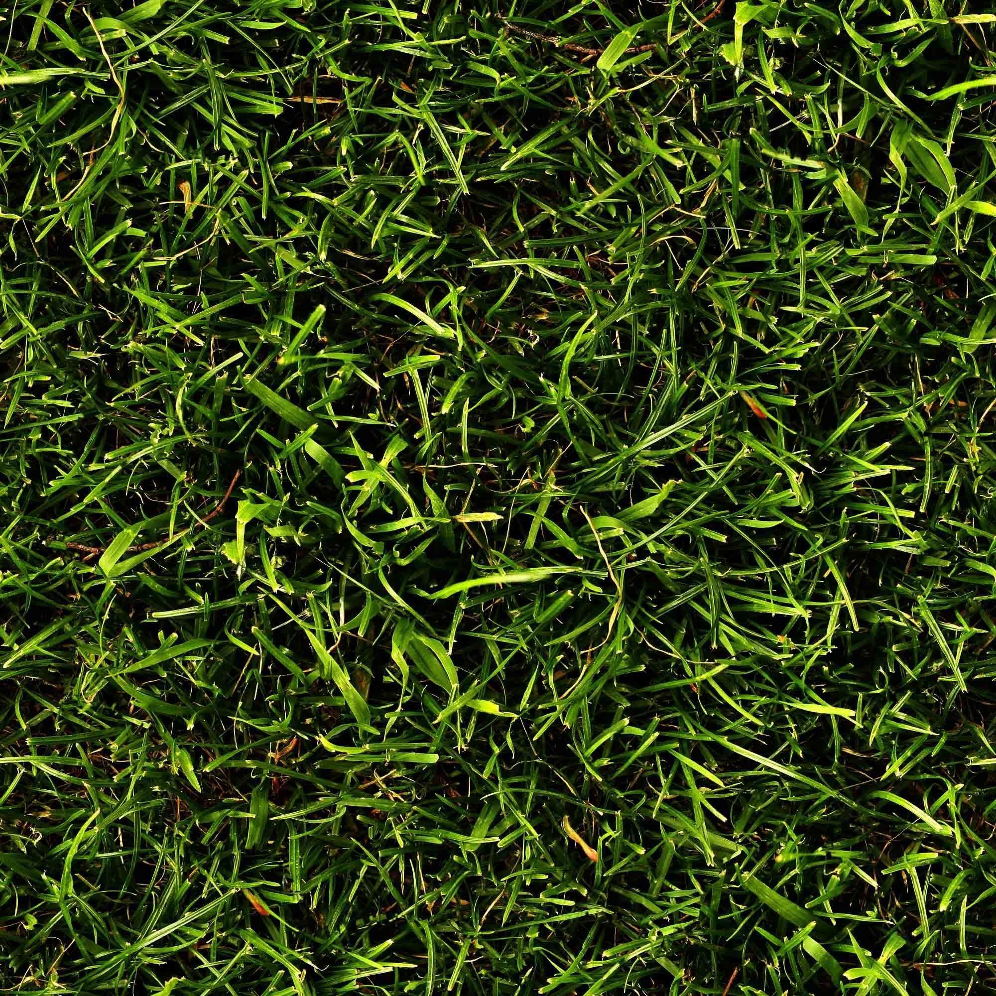 traditional arabic desert safari camp  3D model_69