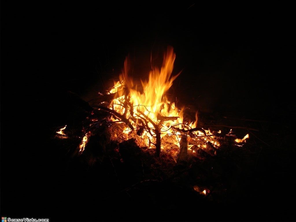 traditional arabic desert safari camp  3D model_72