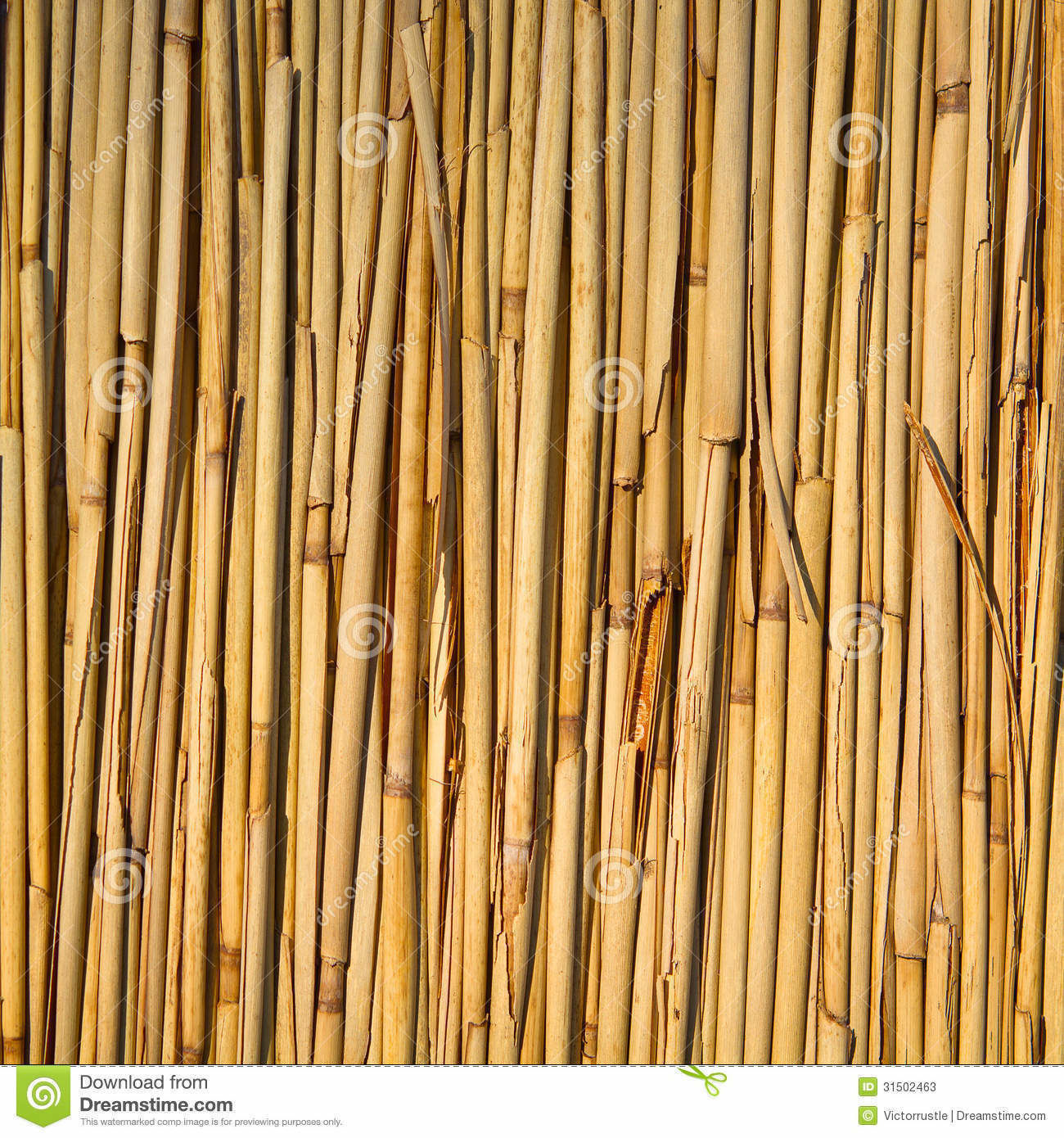 traditional arabic desert safari camp  3D model_73