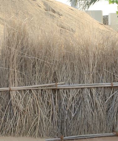 traditional arabic desert safari camp  3D model_54