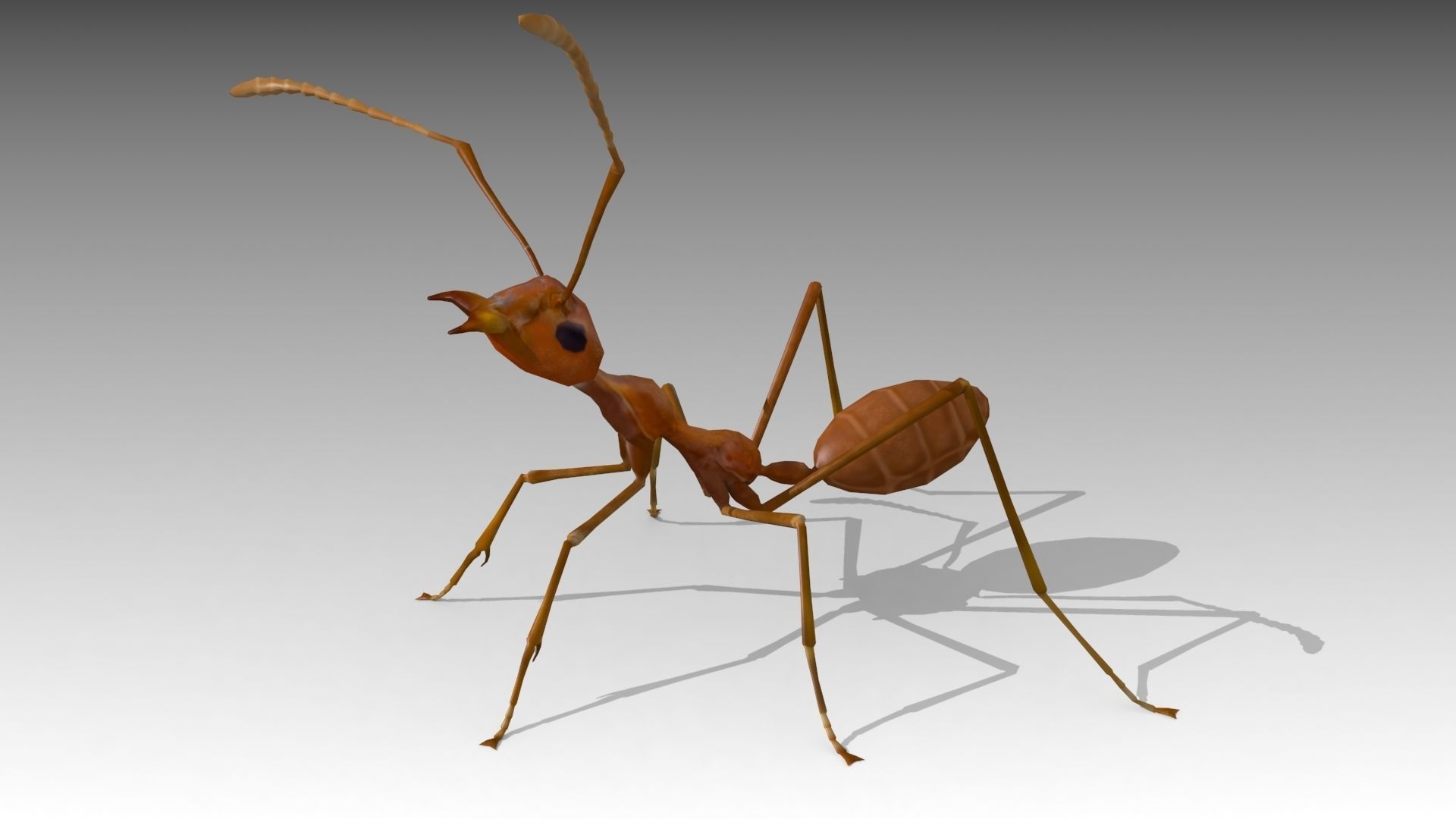Weaver Ant Low-poly 3D model_3
