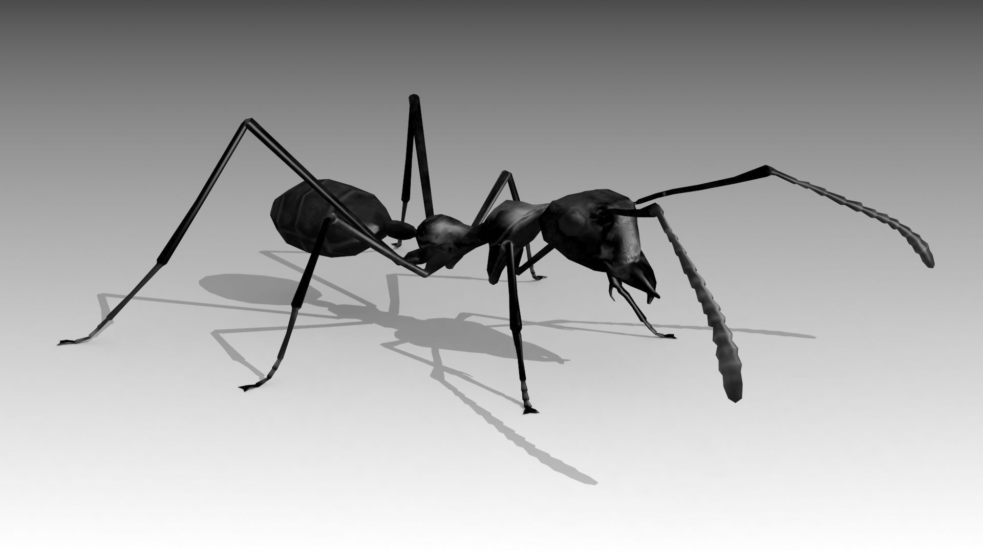 Weaver Ant Low-poly 3D model_7
