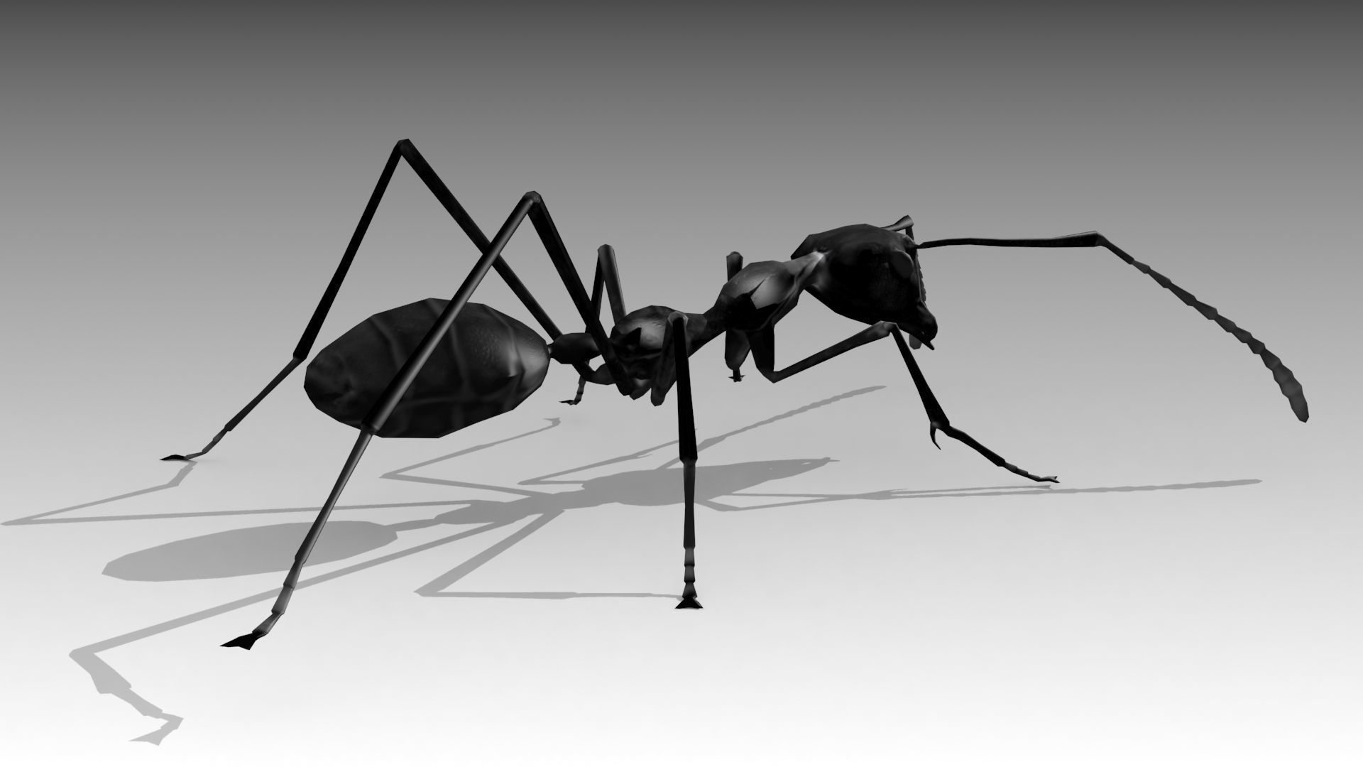 Weaver Ant Low-poly 3D model_10
