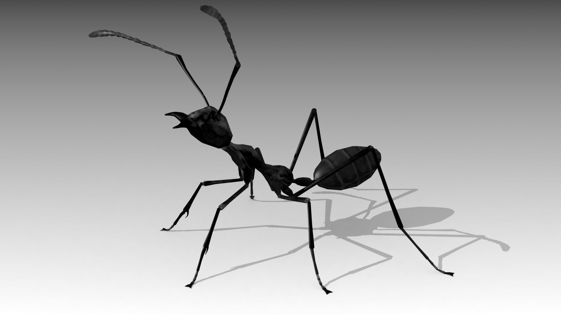 Weaver Ant Low-poly 3D model_9
