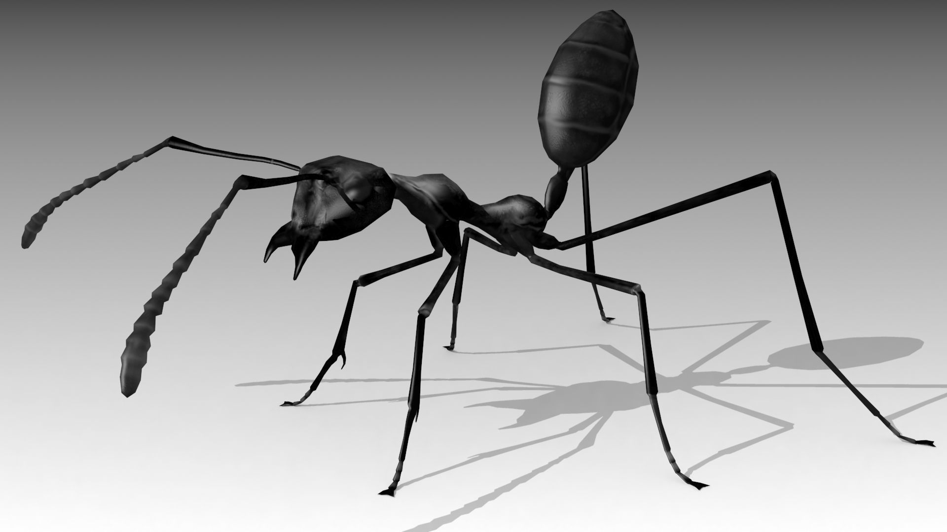 Weaver Ant Low-poly 3D model_8
