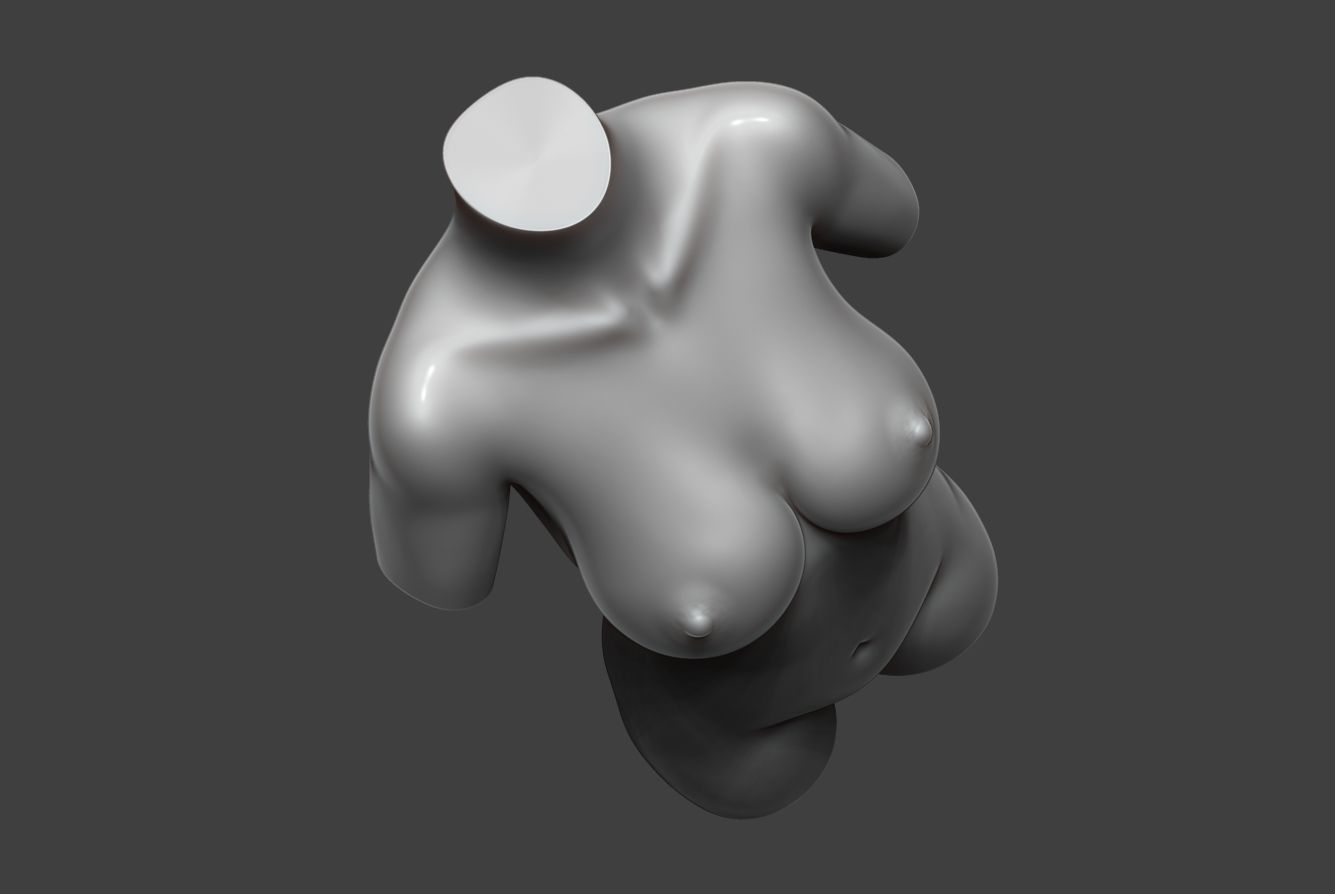 Female Torso 10 Low-poly 3D model_13