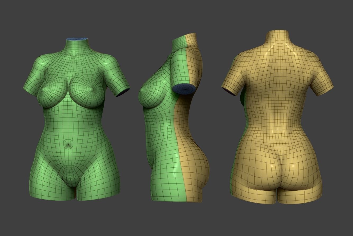 Female Torso 10 Low-poly 3D model_5