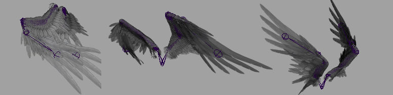 Angel Wings  3D model_6