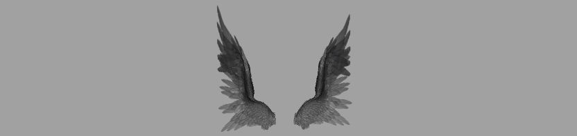 Angel Wings  3D model_11