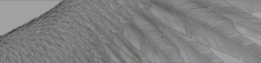 Angel Wings  3D model_9