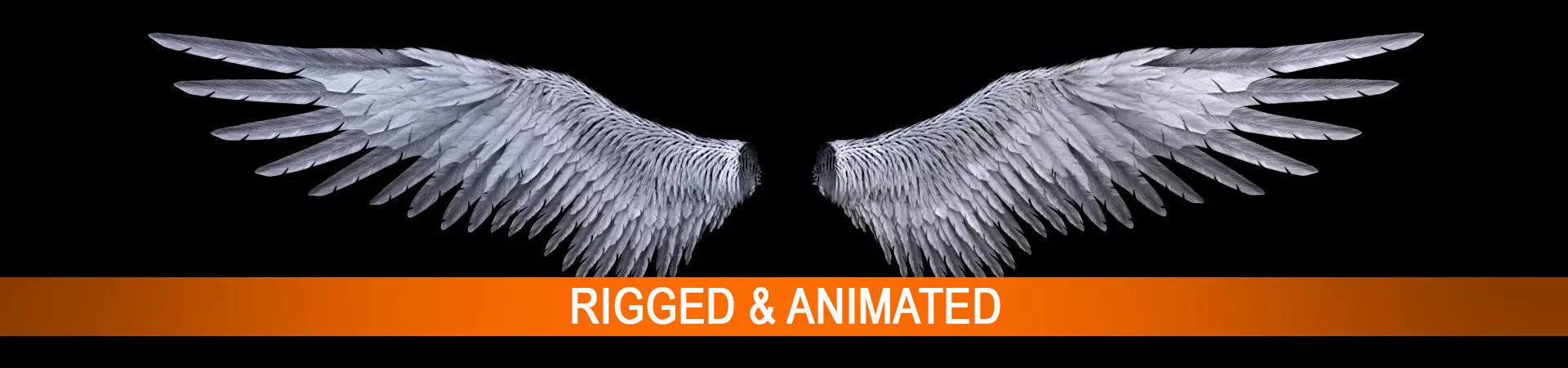 Angel Wings  3D model_0