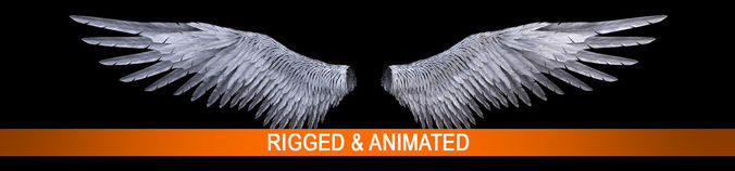 Angel Wings  3D model