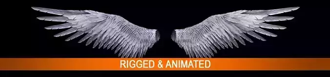 Angel Wings  3D model