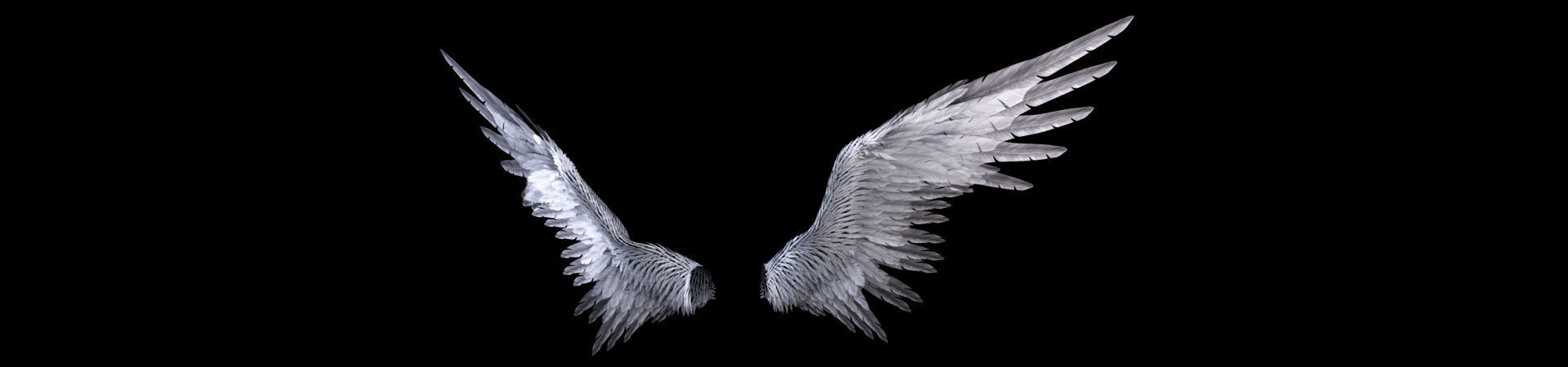 Angel Wings  3D model_4
