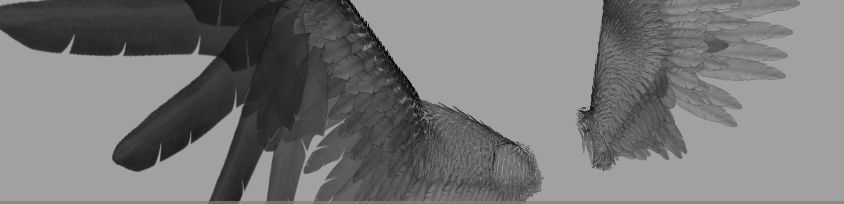 Angel Wings  3D model_7