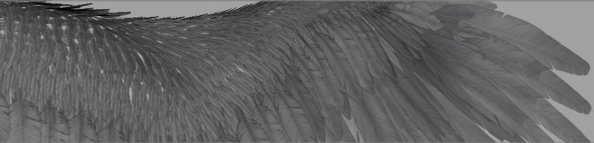 Angel Wings  3D model_8