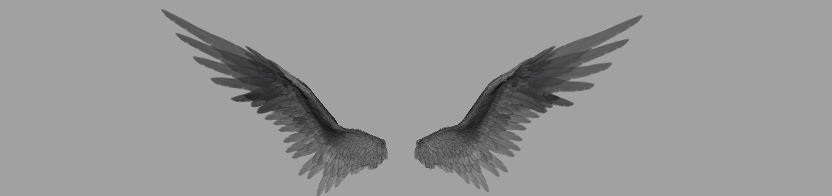 Angel Wings  3D model_10