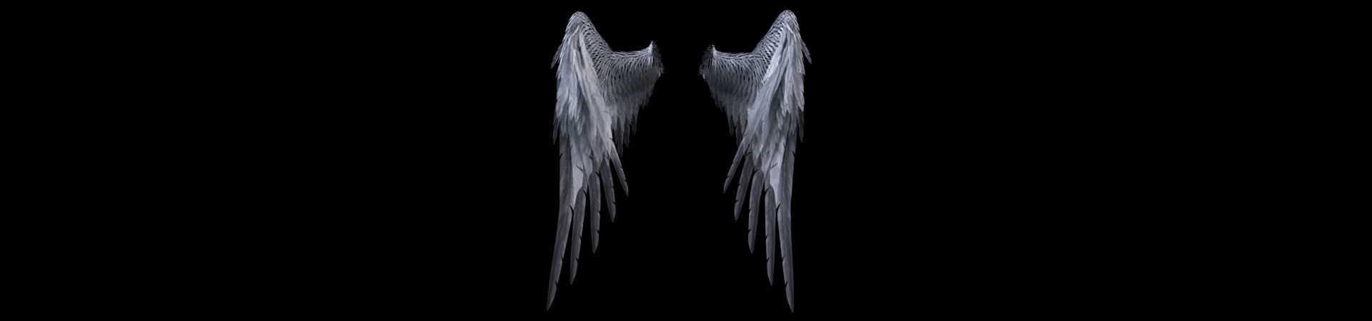 Angel Wings  3D model_5
