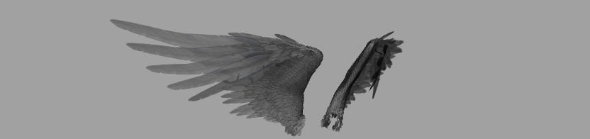 Angel Wings  3D model_12