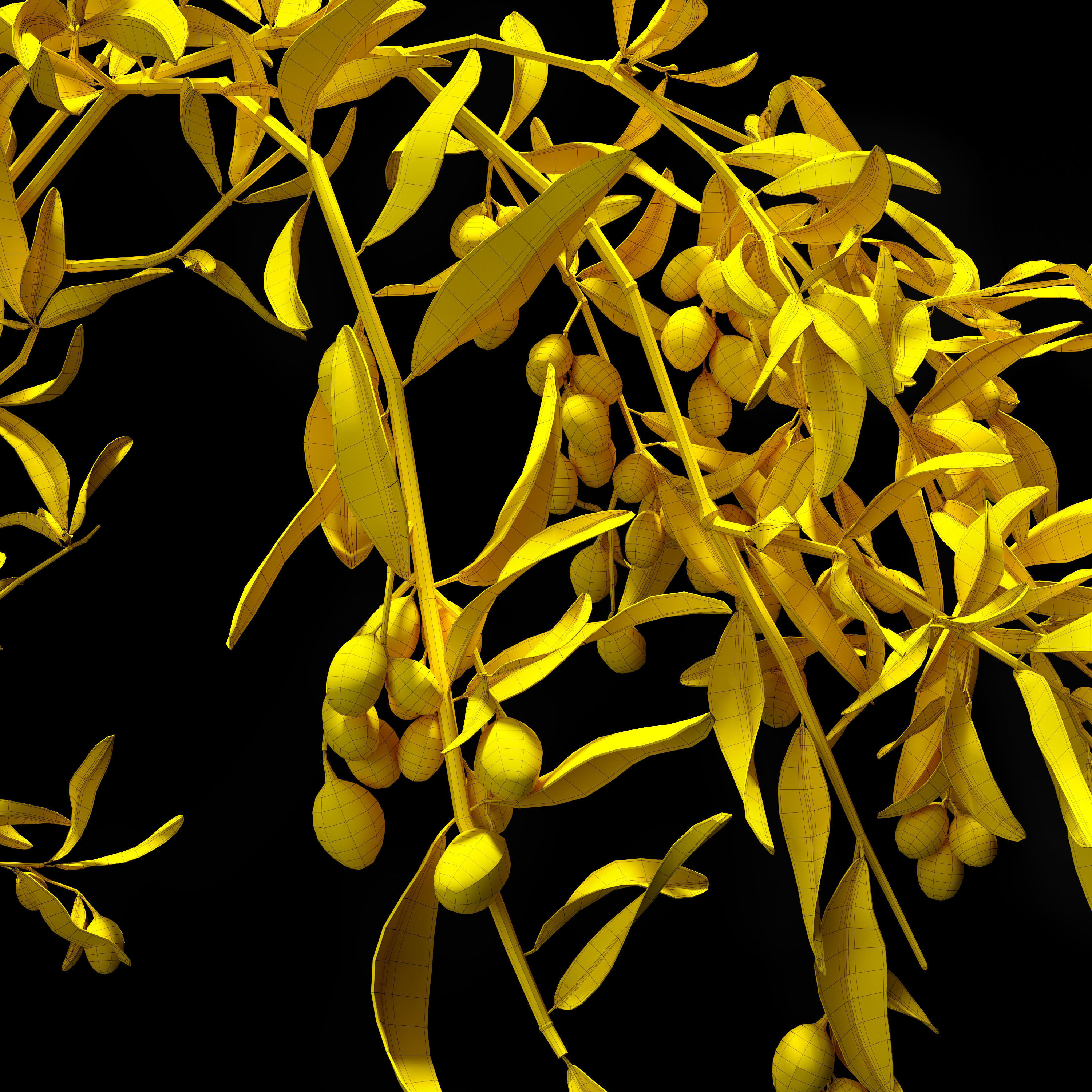 Olive branch 3D model_3