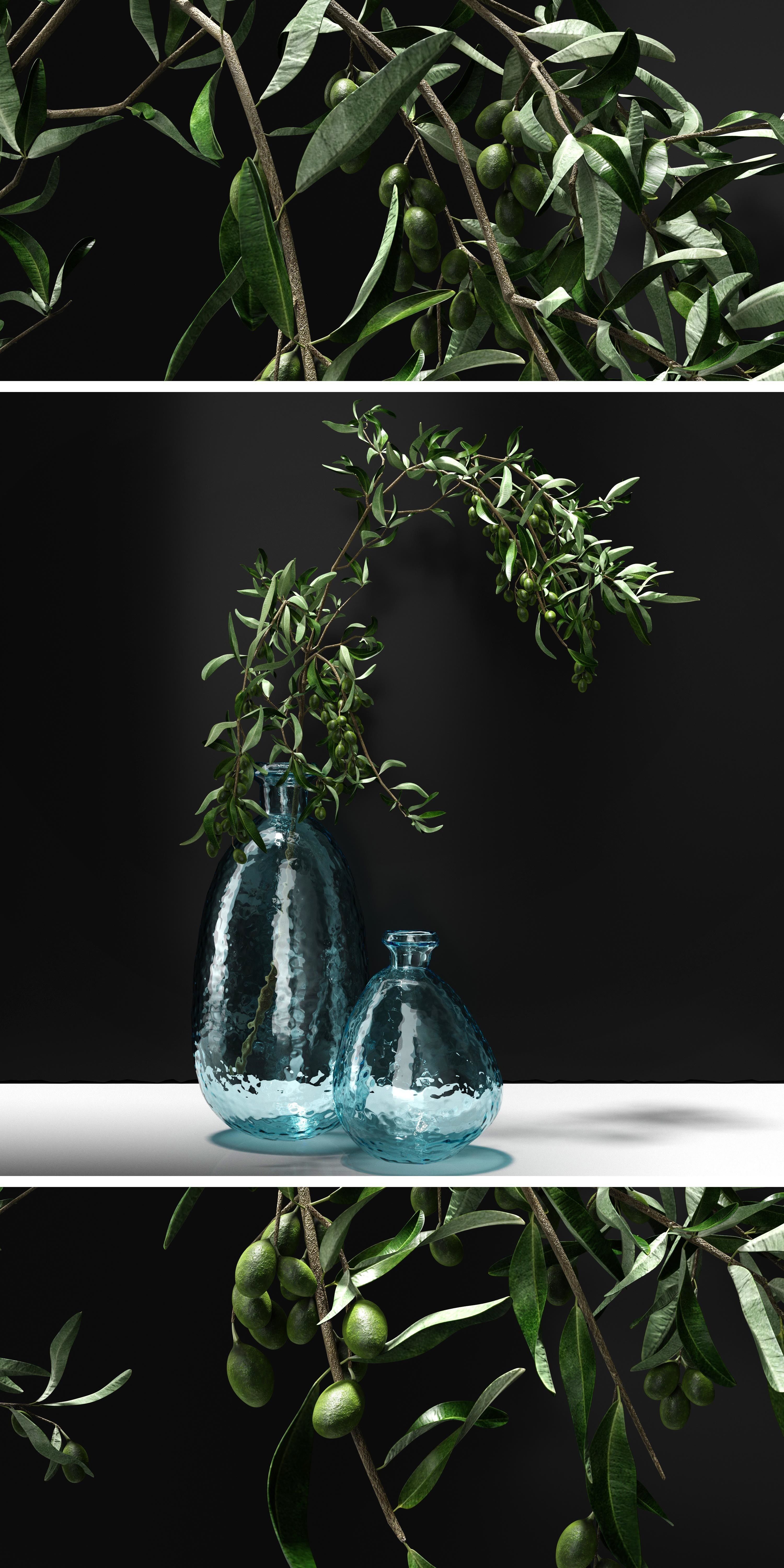Olive branch 3D model_4