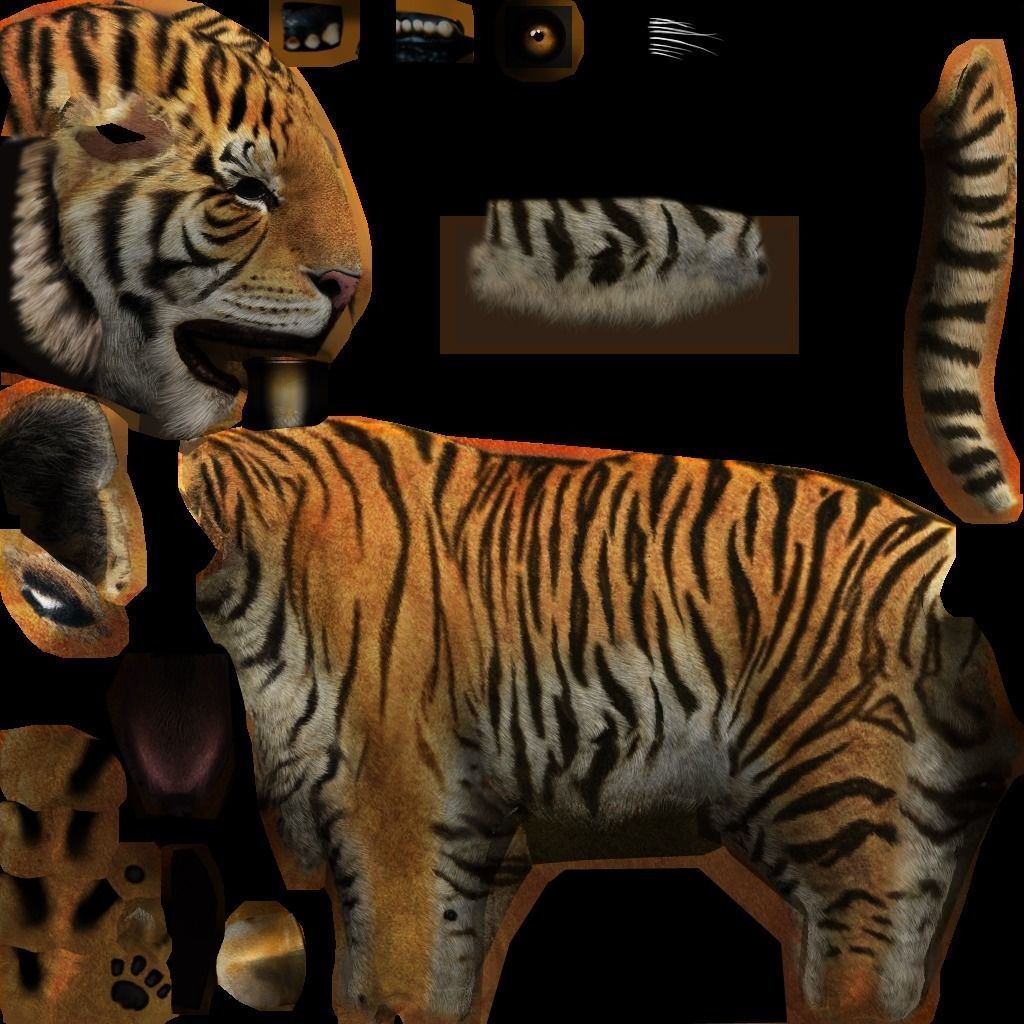 big tiger 3D model_1