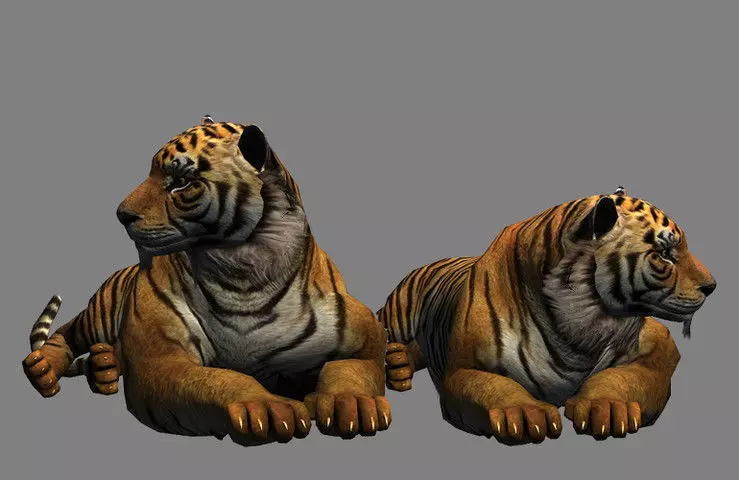 big tiger 3D model_0