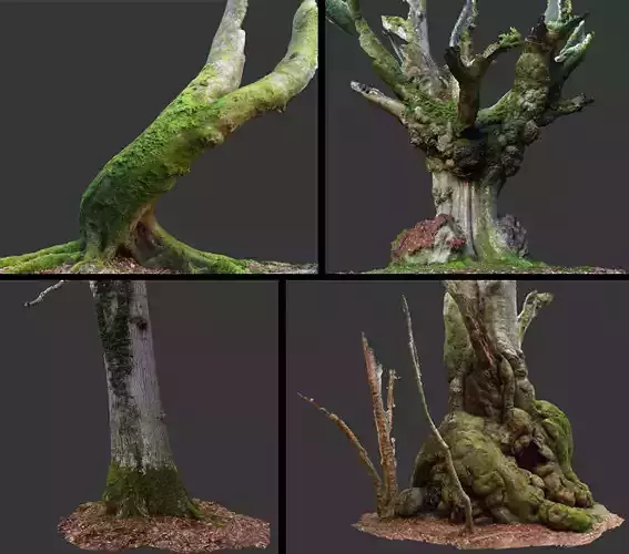 Photogrammetry Tree Pack 3D model