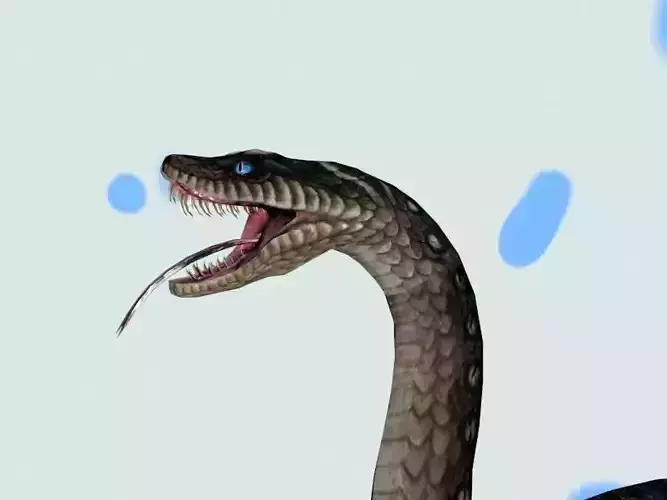 SNAKE
