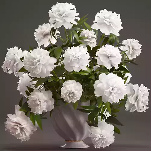 Bouquet white Peonies 3D model