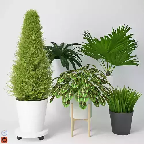 Houseplant 9 fern plant in pot 3D model