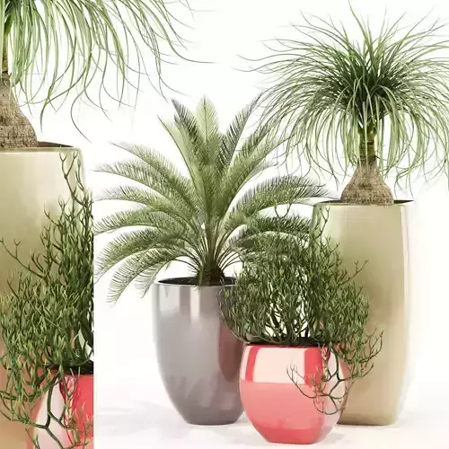 Plants collection 101 Awesomeplanters 3D model