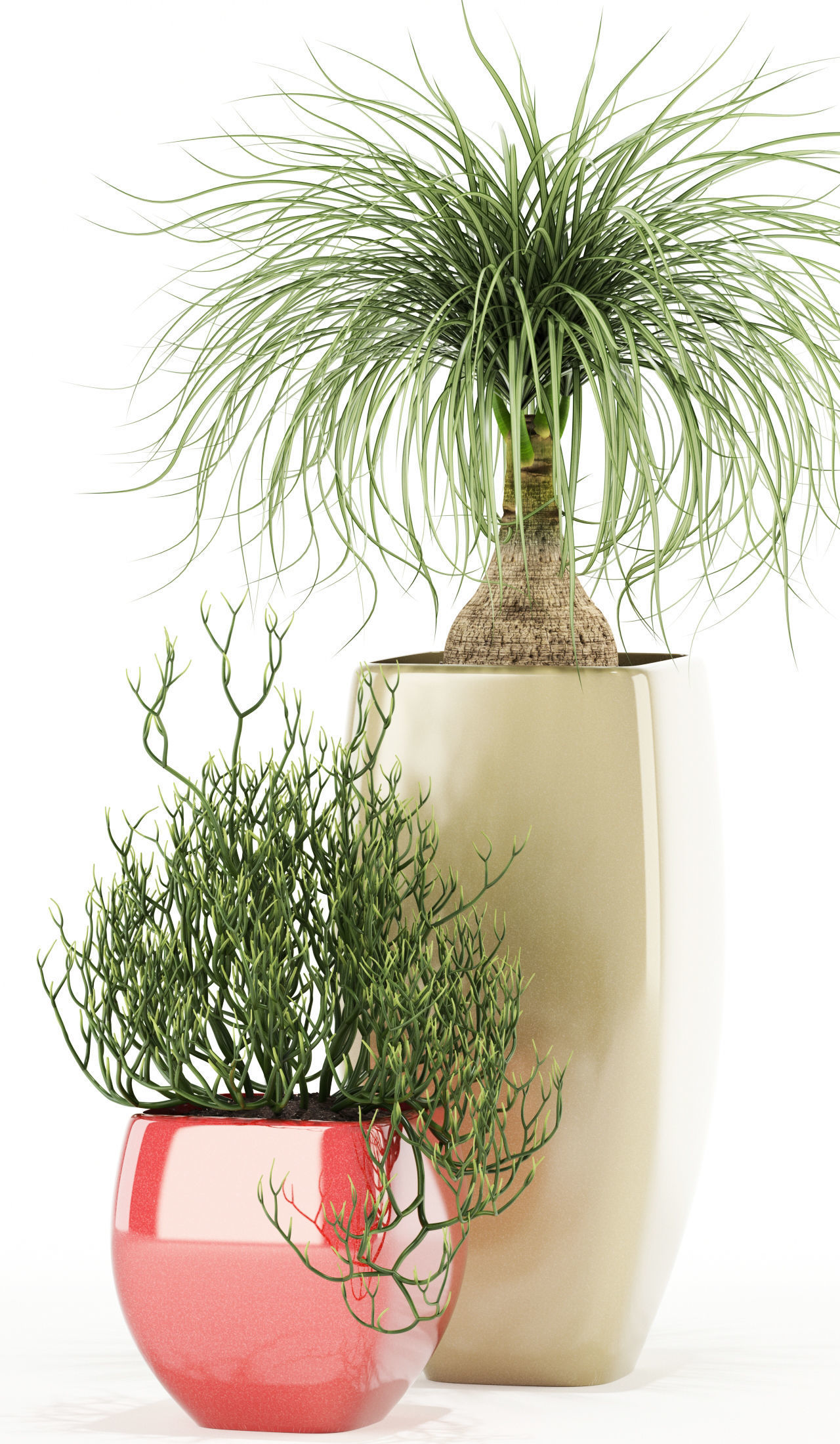 Plants collection 101 Awesomeplanters 3D model_1