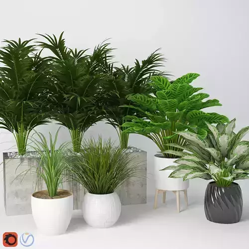 Houseplant 11 3D model