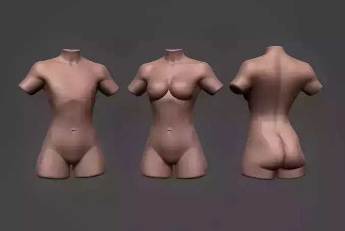 Female Torso 11