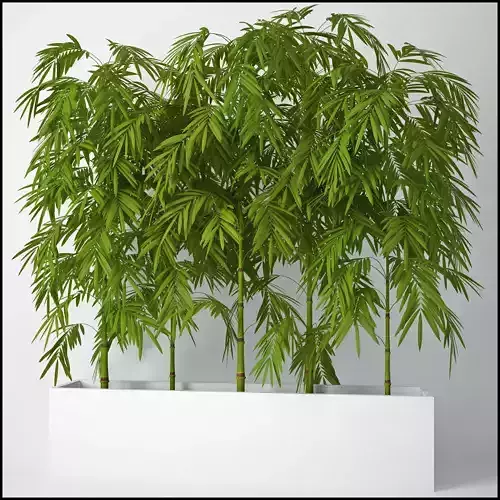 Houseplant 12 3D model