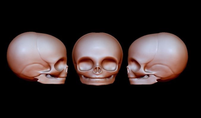 A baby basic head Skeleton 3D print model