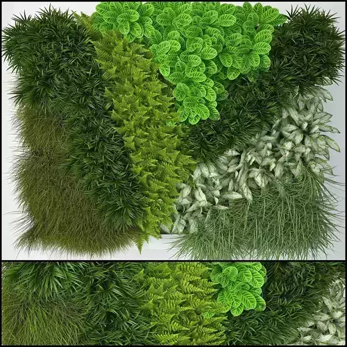 Fytowall 4 plants and grasses 3D model