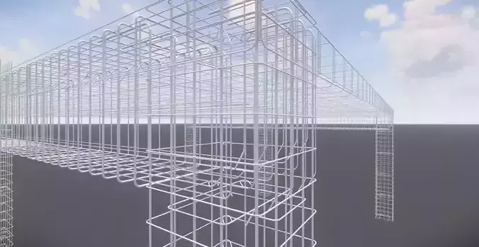 Reinforcement Sample