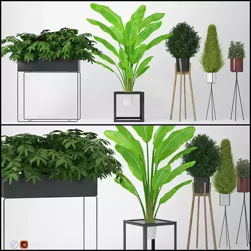 Houseplant 13 3D model