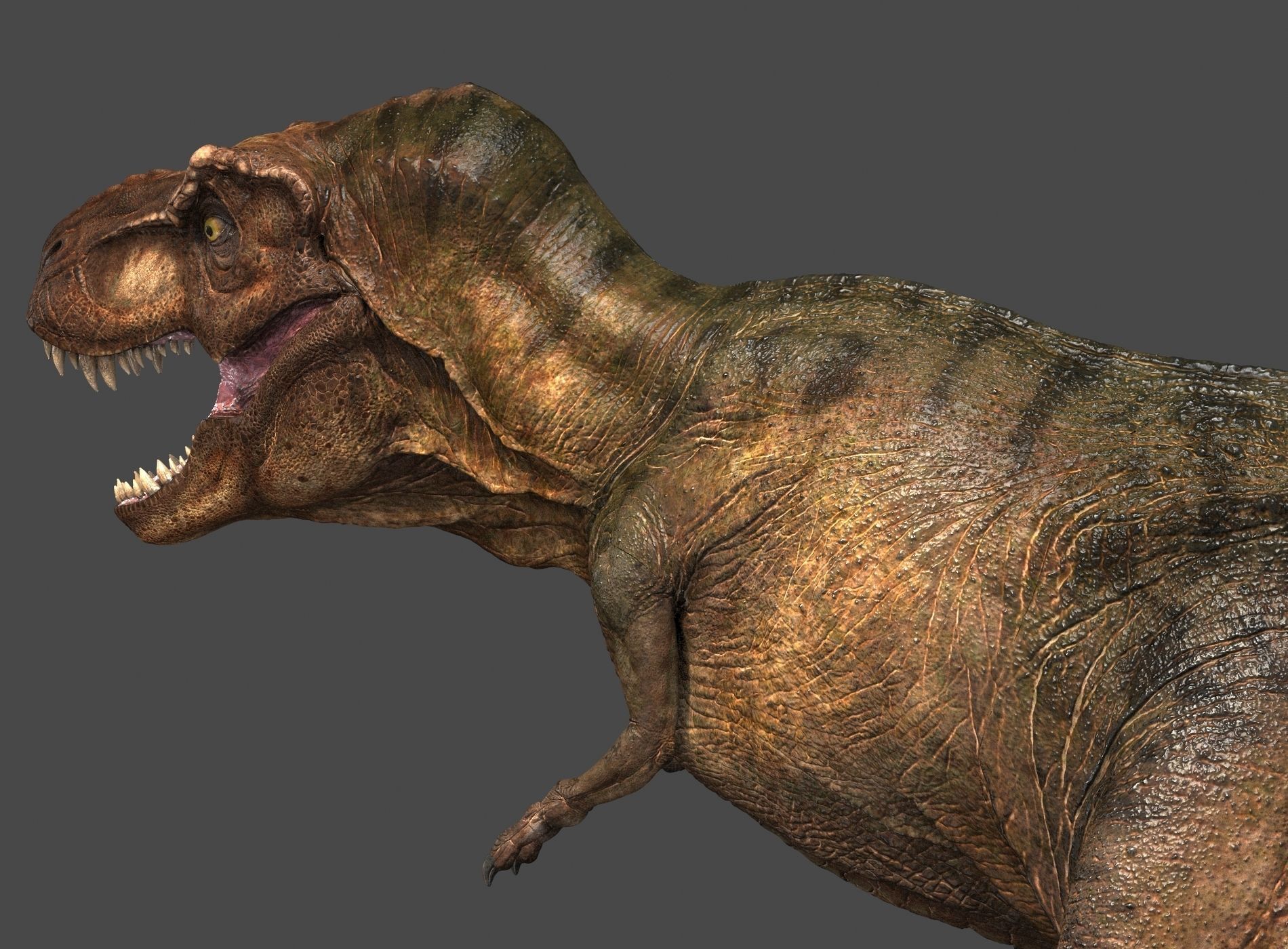 Tyrannosaurus Rex-Animations 3D model_16