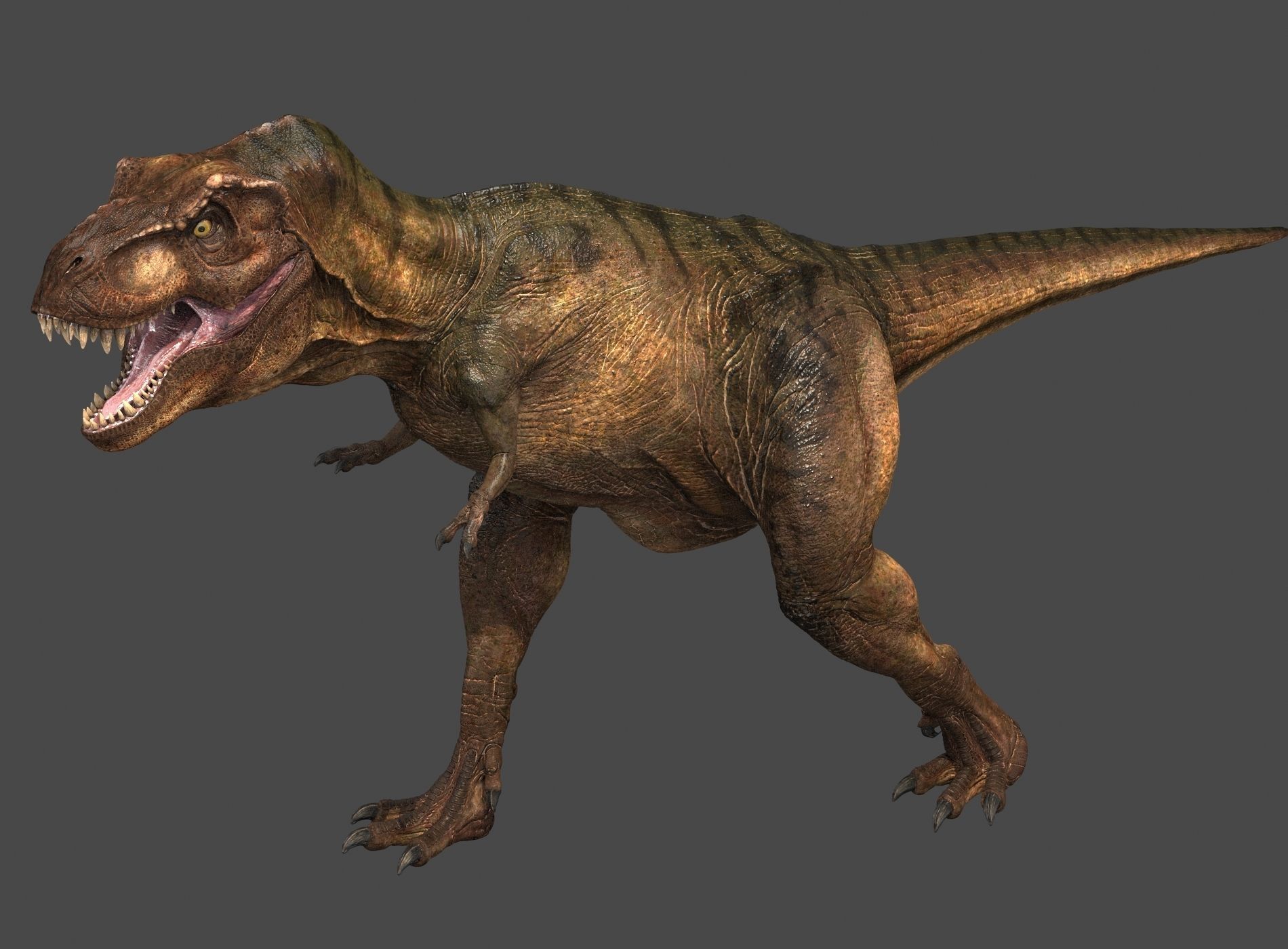 Tyrannosaurus Rex-Animations 3D model_14